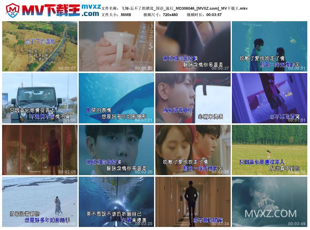 飞翔-忘不了的酒窝_国语_流行_MD306046